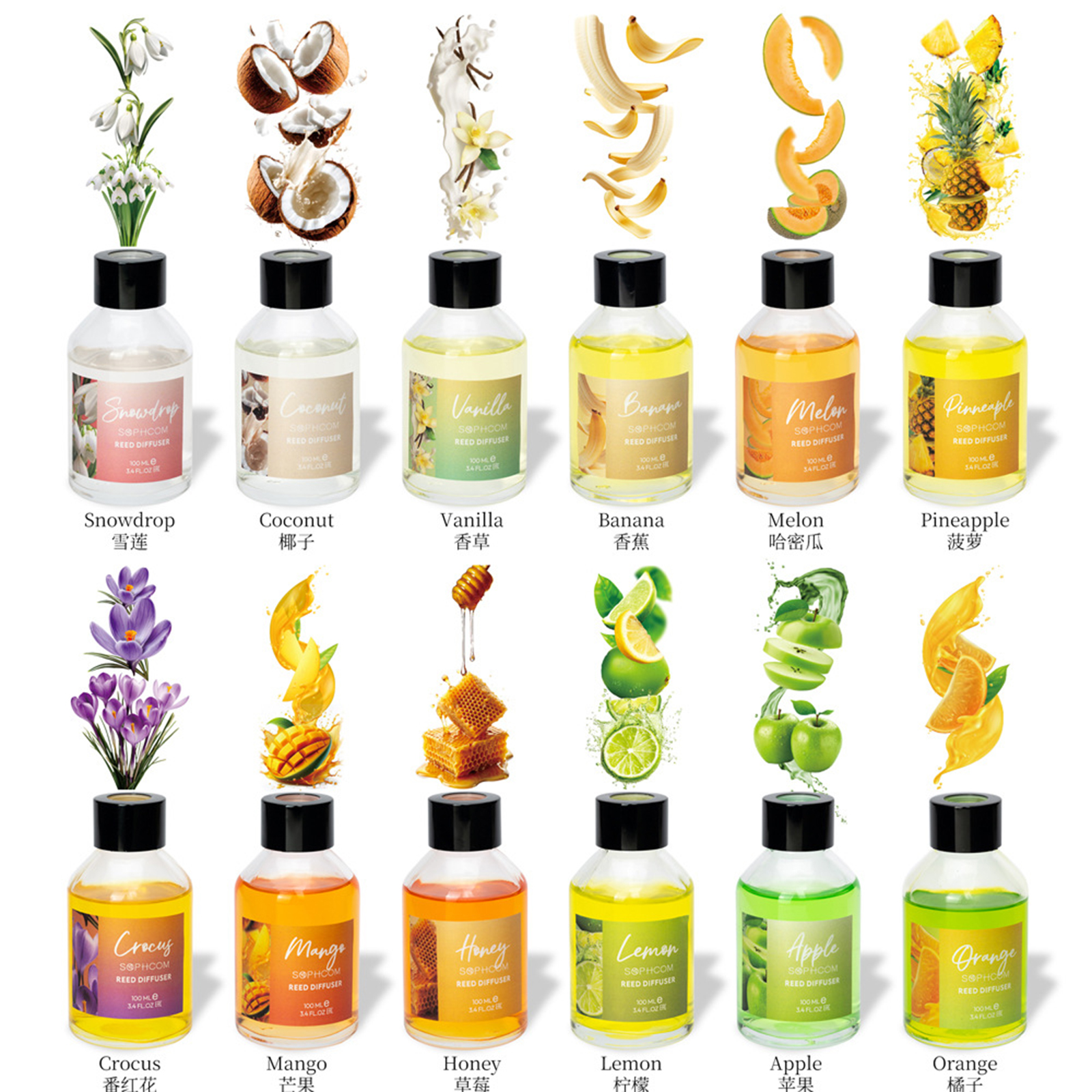 Home Fragrance Reeds - 100ml Floral Fruity Reed Diffuser Set