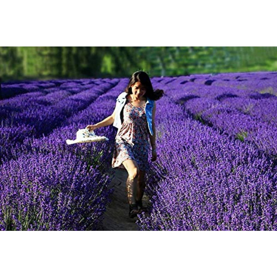 Lavender Sachet Bags, Natural  - огляд і ціна Home Fragrance Sachet