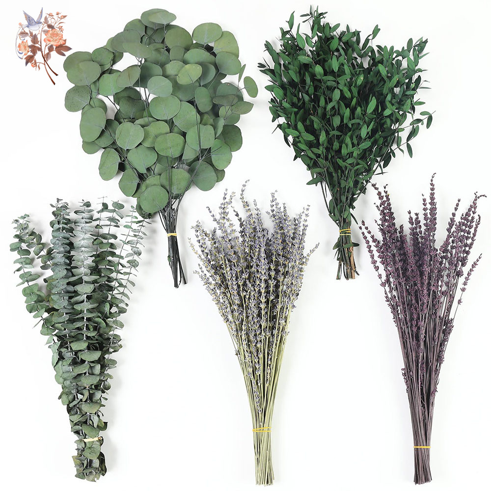 110Pcs Mix Dried Eucalyptus Le - огляд і ціна Fragrance Your Home