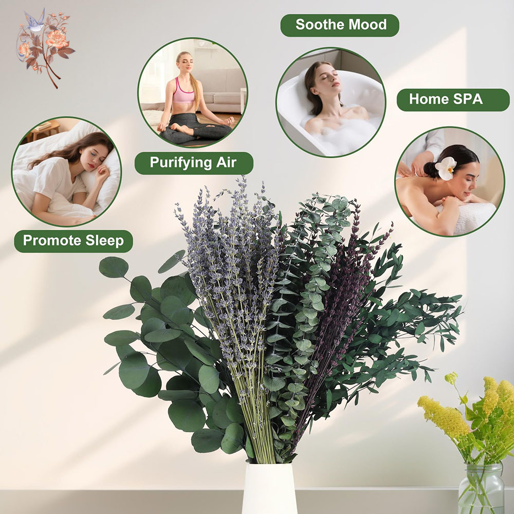 110Pcs Mix Dried Eucalyptus Le - огляд і ціна Fragrance Your Home