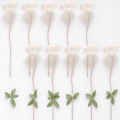 10pcs Rattan Diffuser Sticks A - огляд і ціна Home Fragrance Aroma Set