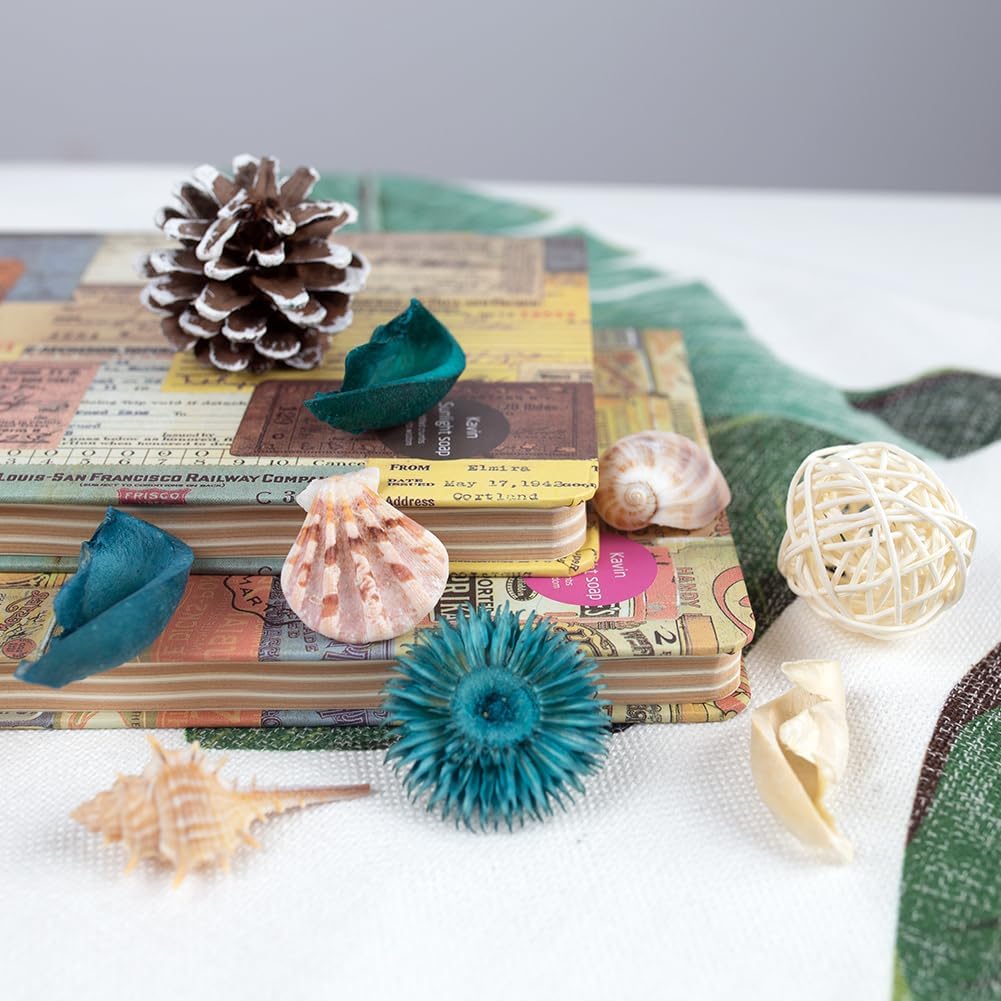 Sea Shell Potpourri Bag Ocean  - огляд і ціна Home Fragrance Ocean Breeze